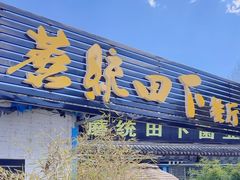 -蘑统田下·野生菌火锅