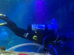 -沈阳海洋探索中心