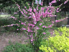 -长春市南湖公园