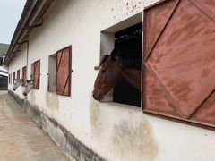 -松声马术俱乐部