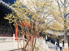 -灵谷景区