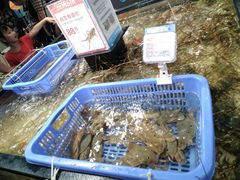 -盒马鲜生(曜一城店)