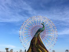 -七彩云南欢乐世界