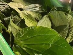 -霞姐屯昌枫木香草鸭店(海螺店)