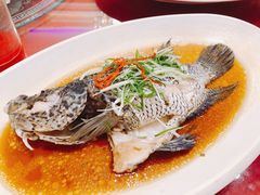 -都市阳光海鲜城(青山湖店)