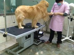 -暖阳宠物医院·犬猫康复中心·骨科