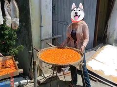 -大澳渔村及棚屋