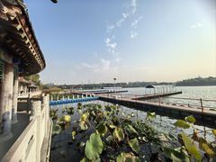 -长春市南湖公园