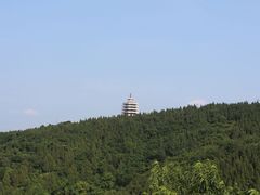 -原山国家森林公园