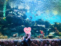 -华夏文旅海洋公园