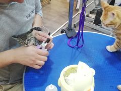 -PETKIT小佩宠物(古北店)