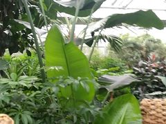 -汤山翠谷生态餐厅