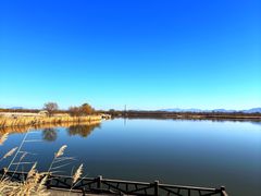 -野鸭湖国家湿地公园