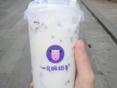 -磁器口古镇