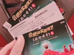-《驼铃传奇》秀