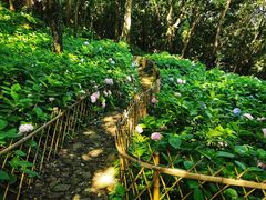 -惠山国家森林公园