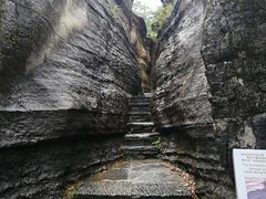 -黎坪国家森林公园