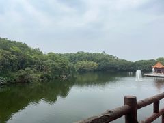 -广州莲花山旅游区