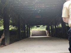 -九龙潭景区