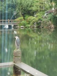 -知味观味庄·宴会厅