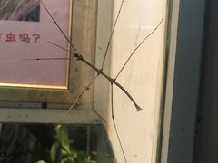 -上海昆虫博物馆