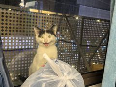 -小老板海鲜酒家(董家渡店)