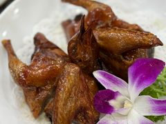 -鸽鸟轩(石岐店)