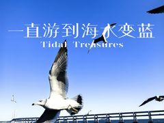 -黑石礁公园