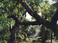 -Chom Cafe and Restaurant