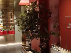 -俏江南天津时尚曲艺主题餐厅(马场道店)