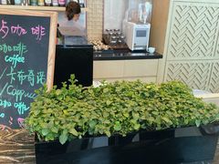 -嘉定凯悦·咖啡厅