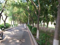 -丁香湖公园