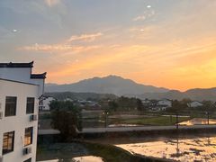 -黄牛肉馆·皖南土菜