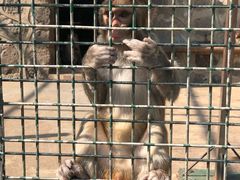 -南京金牛湖风景区