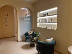 -隐逸SPA