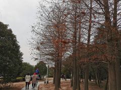 -石湖景区