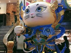 -more than meow吴止猫主题餐厅(承德 中船汇店)