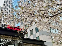 -玛格萝妮比萨屋(四平店)