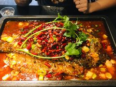 -晓鲜熊猫烤鱼烤吧(西三旗百汇北门店)