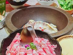 -鲜潭蒸汽石锅鱼(五道口购物中心店)