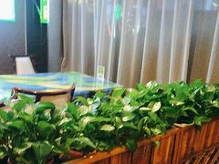 -舜和巴西烤肉餐厅(舜和国际店)