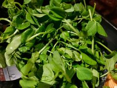 青豆苗-新哥老官·畅吃123·美蛙世界(苏宁广场店)