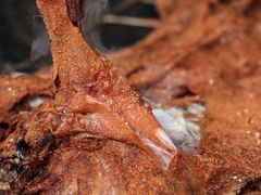 -海兰云天度假区温泉