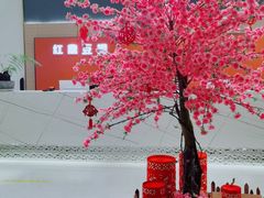 -红鼎豆捞·非遗鲍皇汤火锅(宝丰路店)