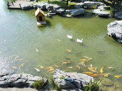 -扬州瘦西湖温泉