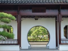 -上海滨江森林公园