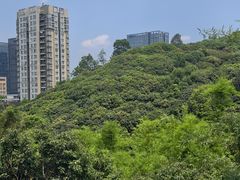 -鲤鱼塘农家山庄