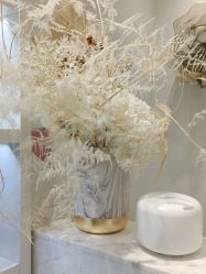 -YESIDO椰岛造型