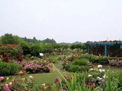 -东华大学(松江校区)