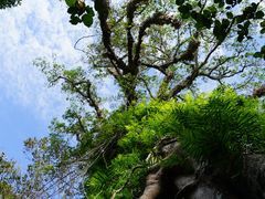 -七仙岭温泉国家森林公园